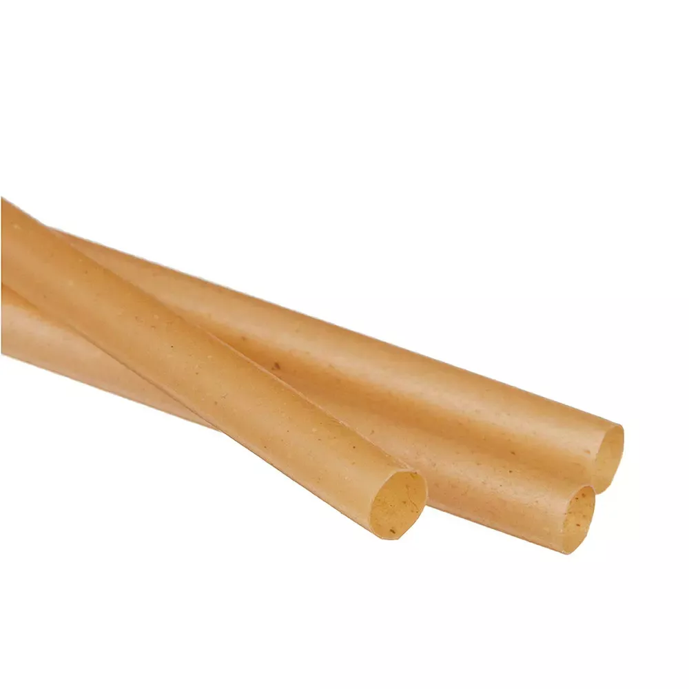 Sugarcane pulp straws